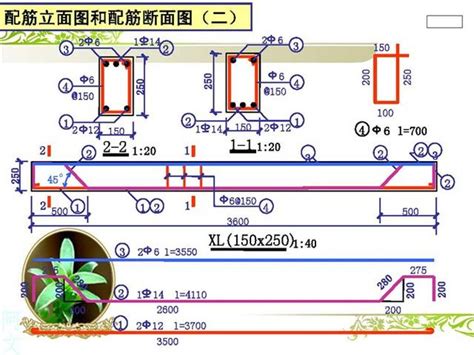 配筋圖怎麼看|教你零基礎如何看懂鋼筋圖紙（含鋼筋符號大全+鋼筋。